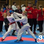 Österreichische Karate Meisterschaft 2024