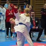 Österreichische Karate Meisterschaft 2024