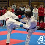 Österreichische Karate Meisterschaft 2024