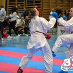 Österreichische Karate Meisterschaft 2024