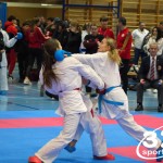 Österreichische Karate Meisterschaft 2024