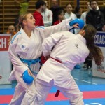 Österreichische Karate Meisterschaft 2024