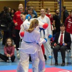 Österreichische Karate Meisterschaft 2024