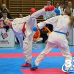 Österreichische Karate Meisterschaft 2024