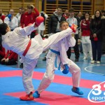 Österreichische Karate Meisterschaft 2024